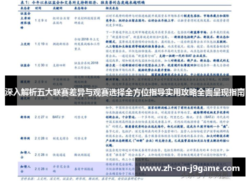 深入解析五大联赛差异与观赛选择全方位指导实用攻略全面呈现指南 深入解析五大联赛差异与观赛选择全方位指导实用攻略全面呈现指南