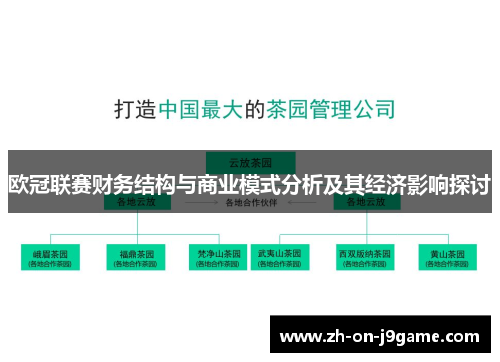 欧冠联赛财务结构与商业模式分析及其经济影响探讨 欧冠联赛财务结构与商业模式分析及其经济影响探讨