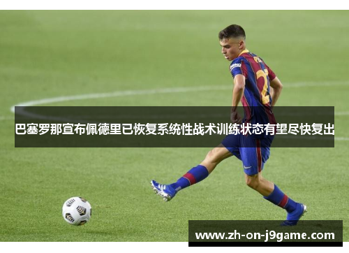 巴塞罗那宣布佩德里已恢复系统性战术训练状态有望尽快复出 巴塞罗那宣布佩德里已恢复系统性战术训练状态有望尽快复出