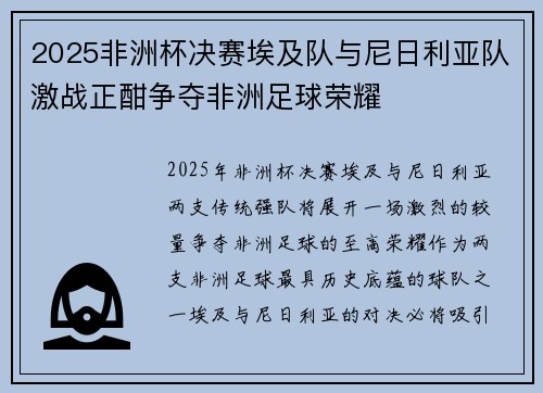 2025非洲杯决赛埃及队与尼日利亚队激战正酣争夺非洲足球荣耀